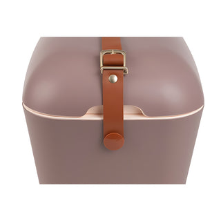 Kühlbox Polarbox 20 Liter, Farbe: Mauve Gold