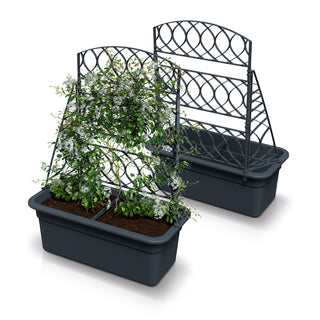Kompaktes Spalier 'Bloomie' in Anthrazit (Set wählbar)