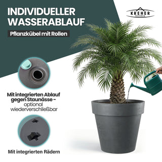XXL Pflanzkübel / Pflanztopf „LIKE“ Ø 79 x H 69 cm - Anthrazit - Rund, Rollbar - in Natur Stein Optik