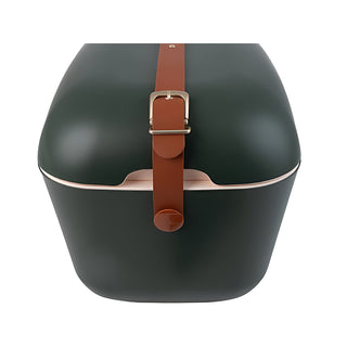 Kühlbox Polarbox 20 Liter, Farbe: Forest Gold