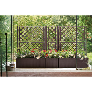Set: 2 x Stück XL SPALIER Rattan (breite Version) Farbe: Anthrazit