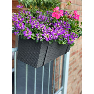 2 x Balkonkasten BEGONIA in Rattan-Optik mit Stahlaufhängung, Breite 56 cm, Farbe: Graphit Metallic