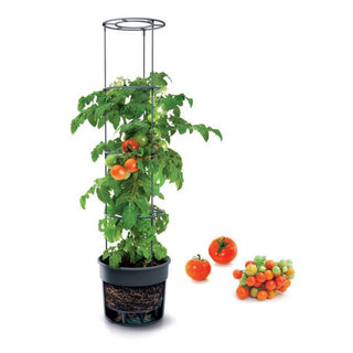 Tomatentopf mit Rankhilfe (Ø 40 cm)