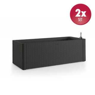 Spaliere und Pflanzkästen, Rattan, Anthrazit (frei kombinierbar)